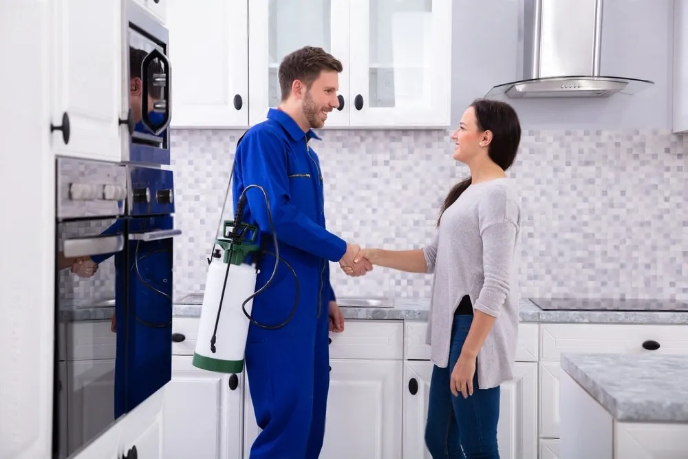 Pest Control Experts - Hercules Best Pest Pros | Hercules, CA | (510)721-3337